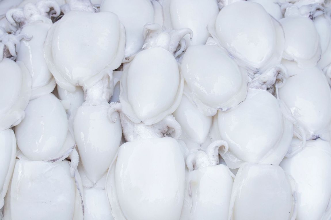 Una pila de sepias blancas colocadas una encima de otra sobre el hielo.