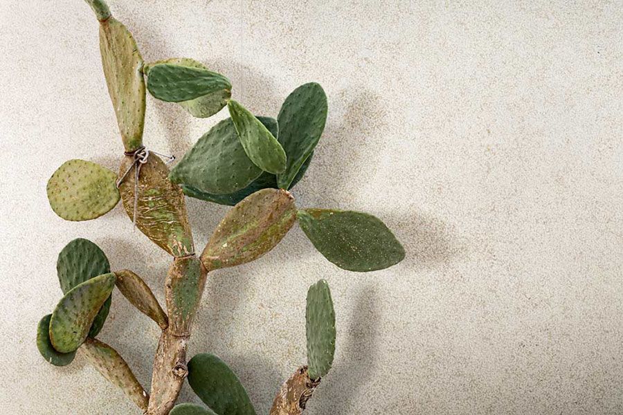 Balkon- & Terrassenfliesen von Casa dolce casa