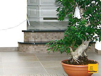 Vor einer Treppe steht eine Topfpflanze.