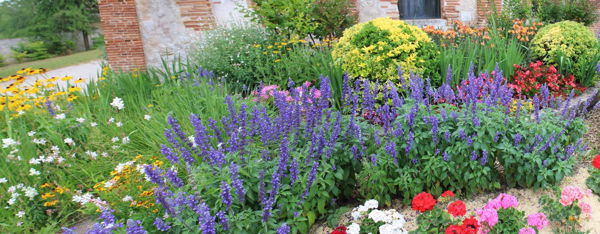 Un jardin fleuri éclatant met en valeur des sauges, des arbustes et des fleurs, roses et blanches mêlées sur un fond de briques.