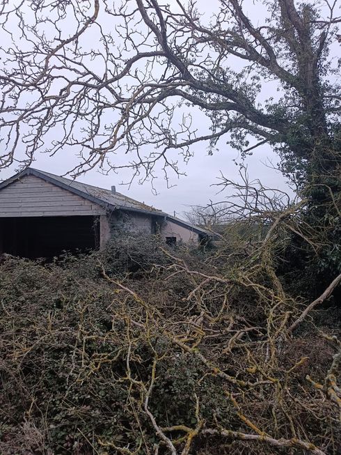 Sous un ciel couvert, un hangar aux murs de pierre usés par le temps se dresse, dissimulé par d'épais buissons épineux couverts de lichen.