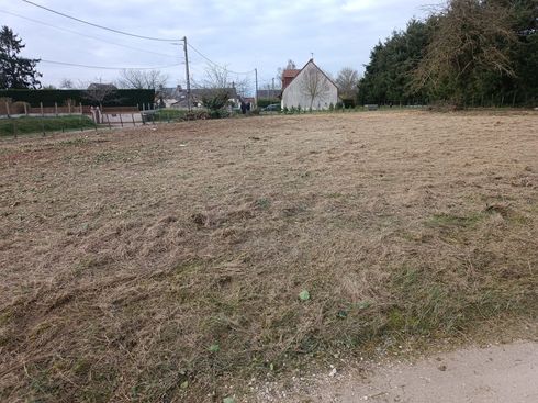 Un champ herbeux et tondu s'étend vers une maison et des arbres.