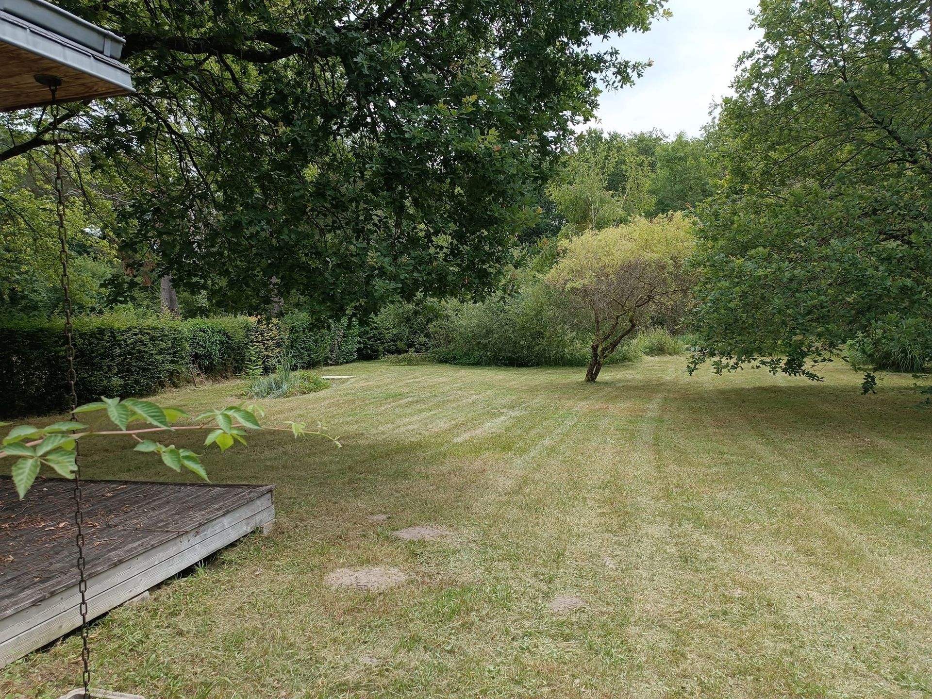 Vue d'une cour arrière gazonnée avec une terrasse en bois au premier plan, entourée d'arbres et d'arbustes matures.