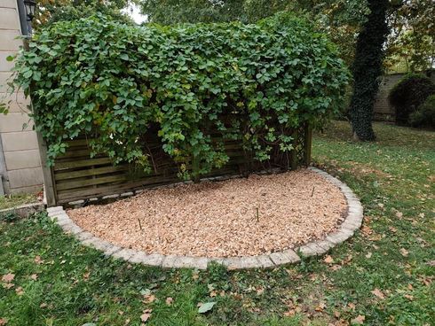 Un parterre semi-circulaire rempli de copeaux de bois, bordé de pierres, adossé à une clôture en treillis recouverte d'une végétation luxuriante.