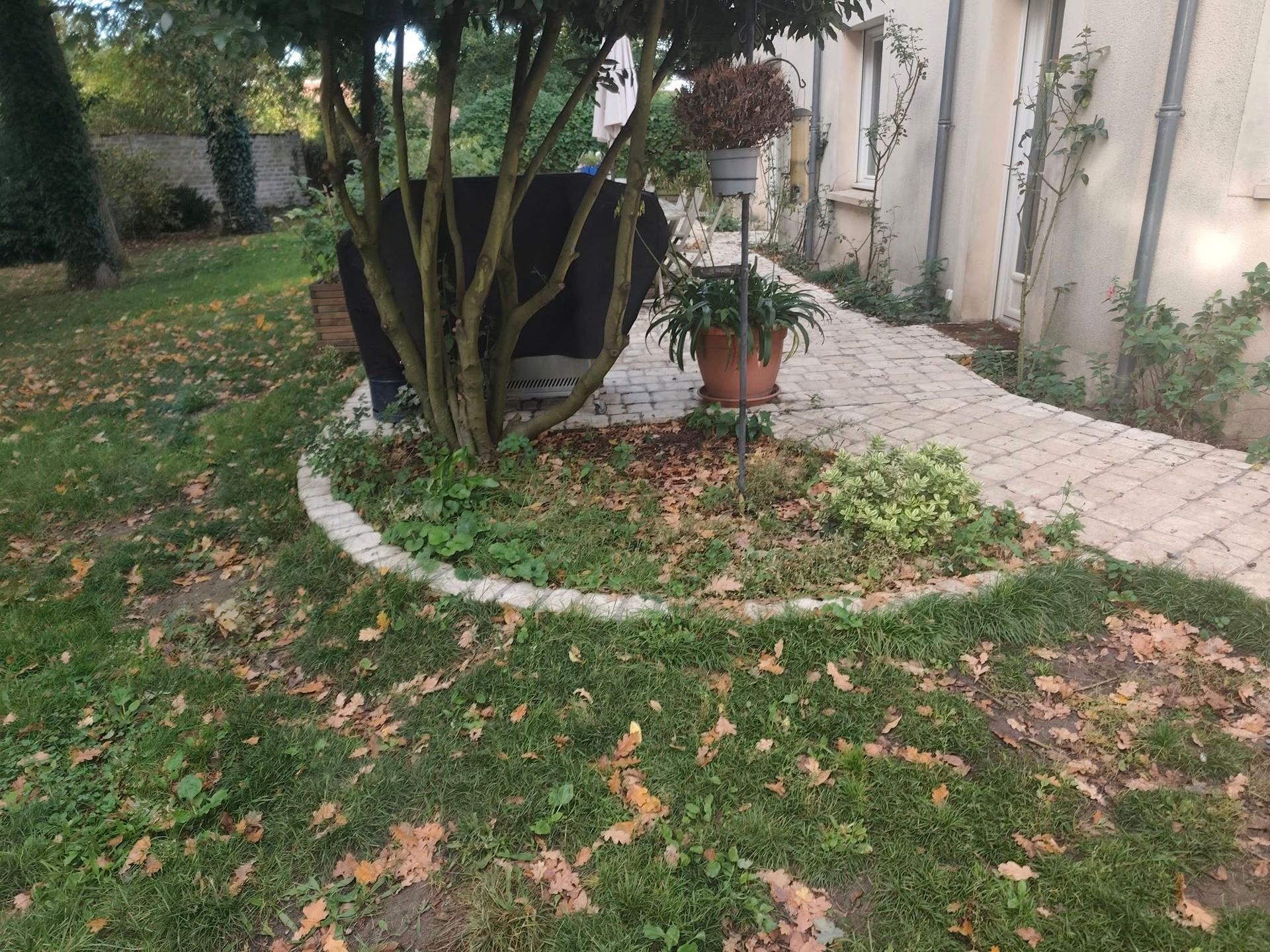 Un parterre de pierres avec un petit arbre et une plante en pot se trouve à côté d'un chemin pavé, près d'une maison aux couleurs claires.
