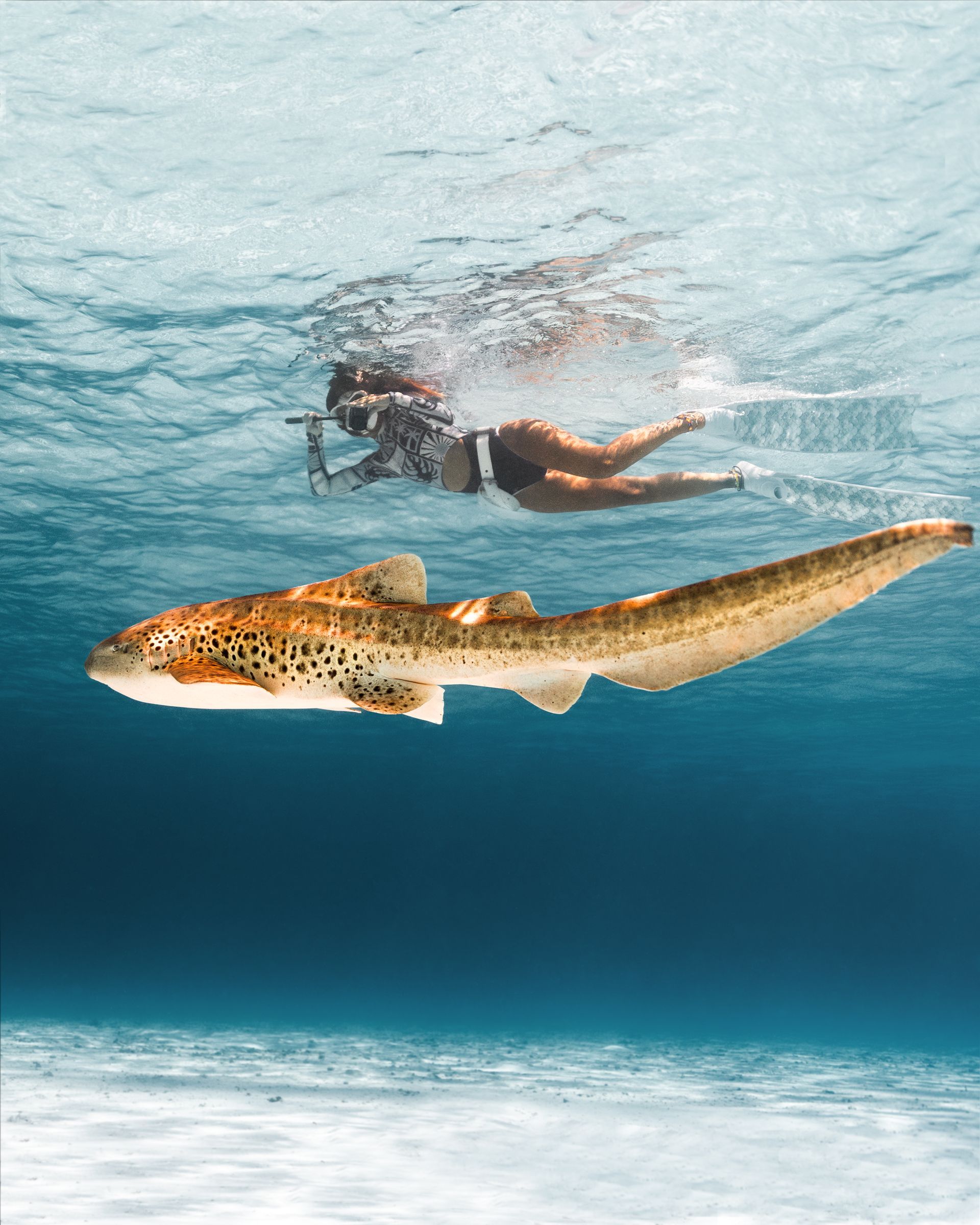 Mujer practicando snorkel sobre un tiburón leopardo en aguas cristalinas de color azul.