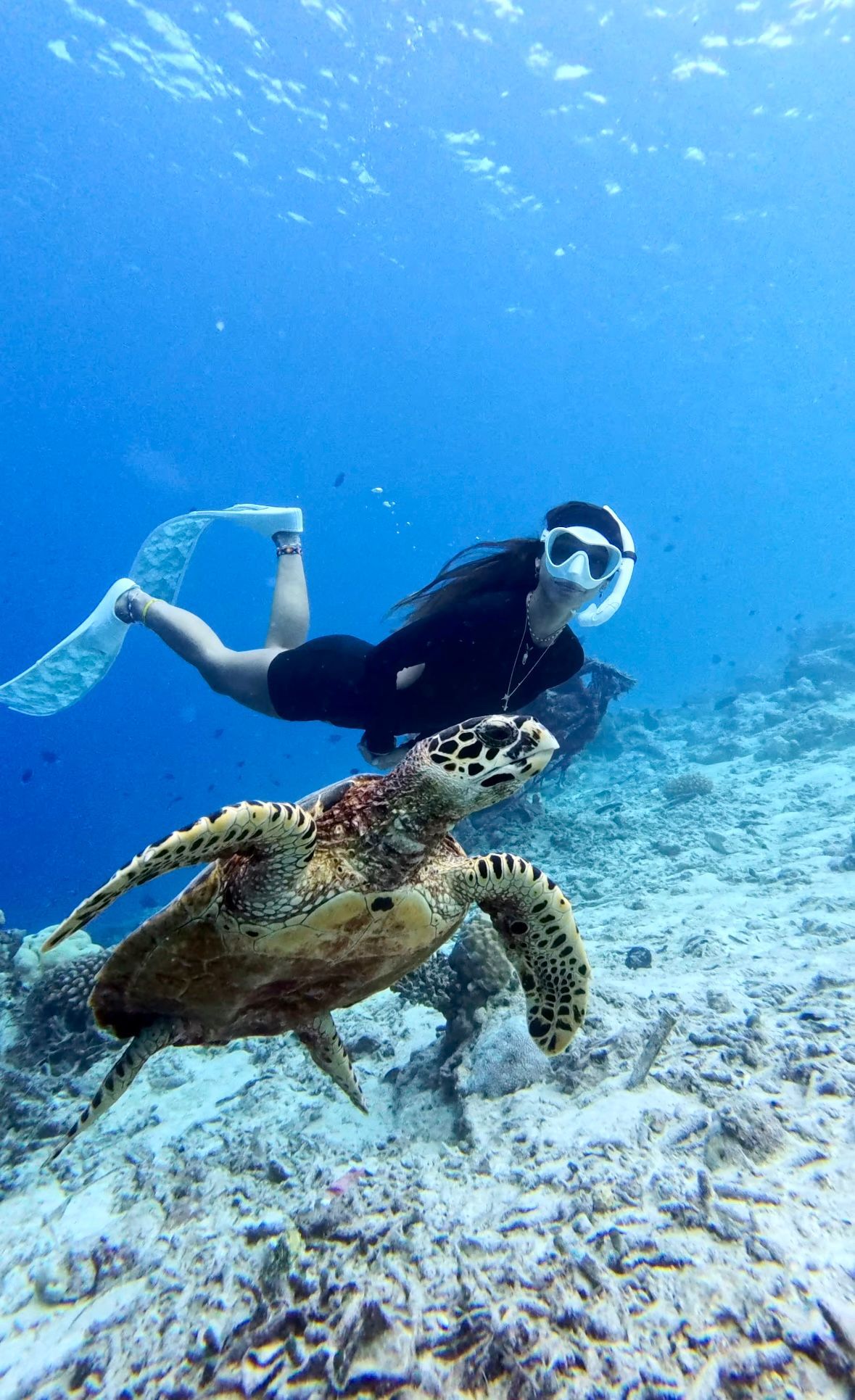 Un buceador nada con una tortuga marina en un océano azul cristalino.