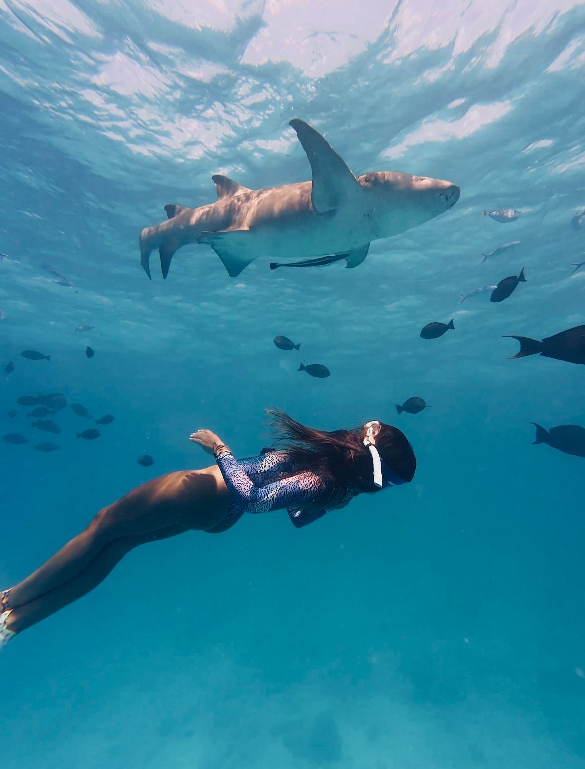 Mujer practicando snorkel bajo el agua cerca de un gran tiburón, rodeada de peces pequeños. Agua turquesa.