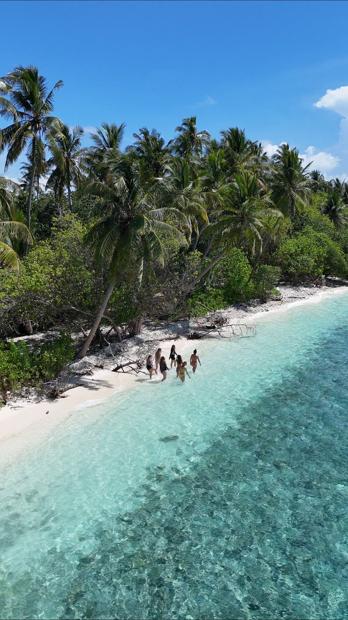 Gente en una playa de arena blanca con agua turquesa, exuberantes árboles verdes y cielo azul.