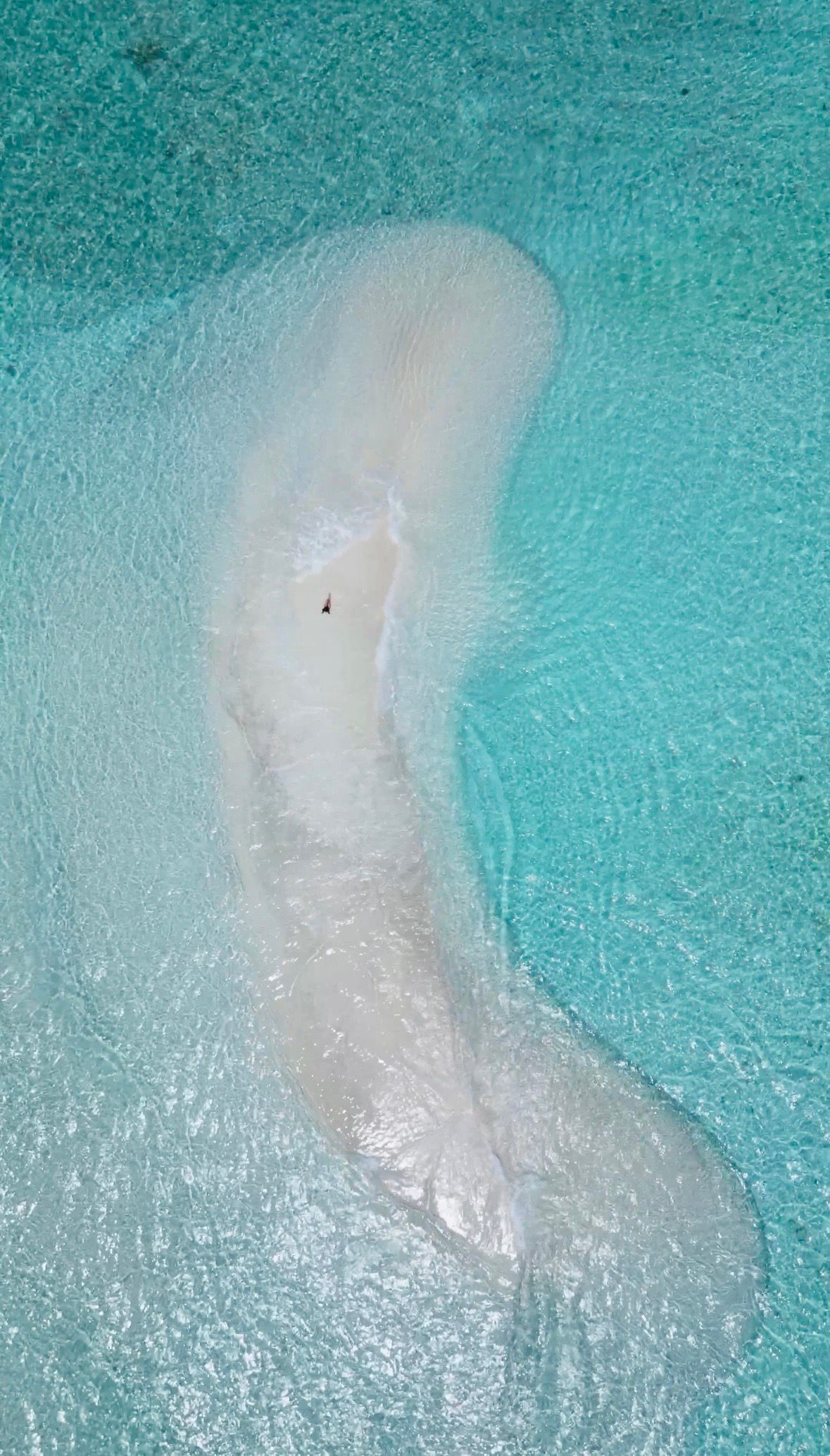 Pequeño banco de arena blanca en aguas turquesas.