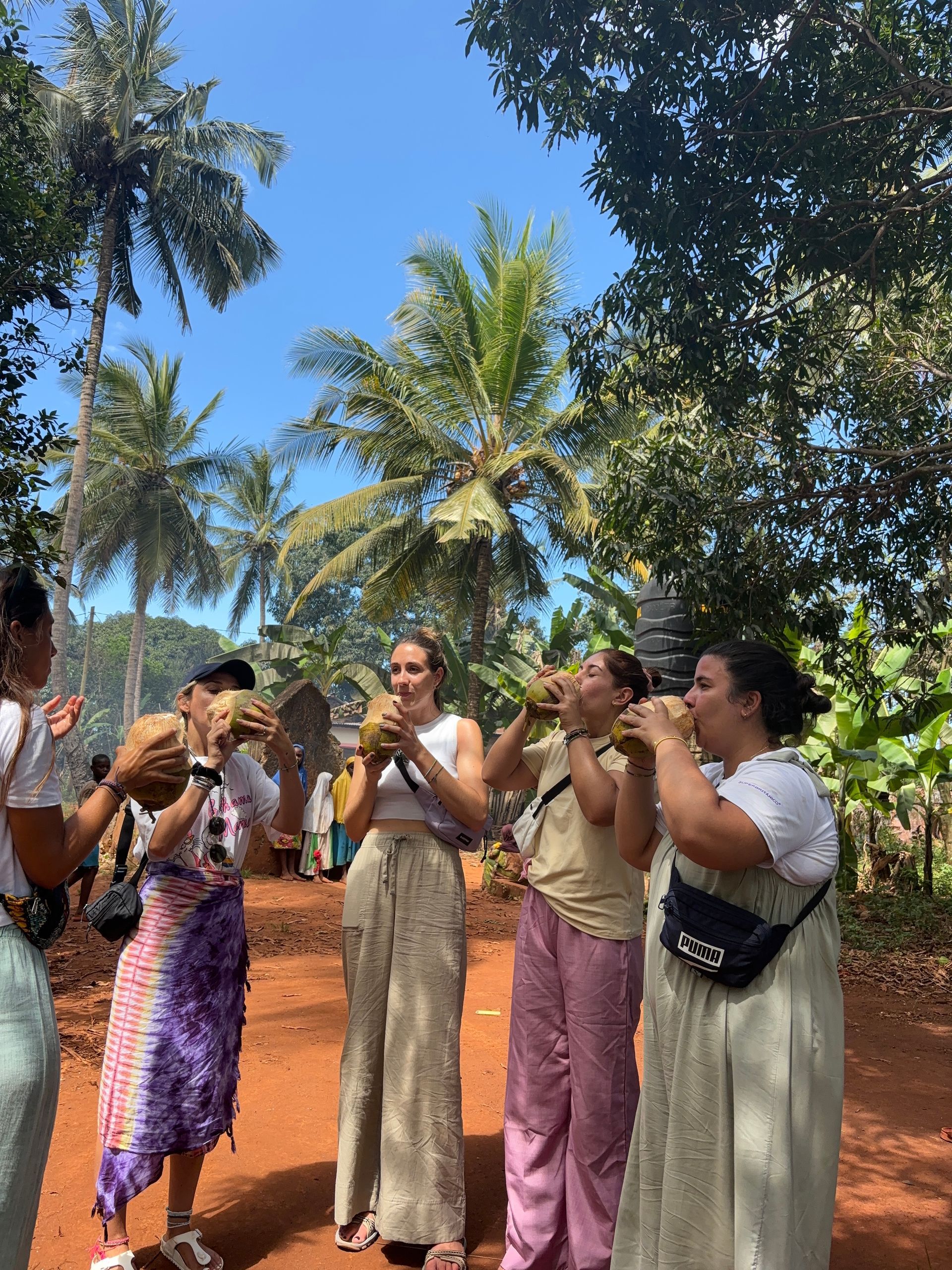 Grupo de personas bebiendo agua de coco al aire libre, bajo palmeras.