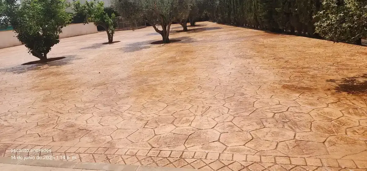 Tierra seca y agrietada con huellas de neumáticos, árboles al fondo.