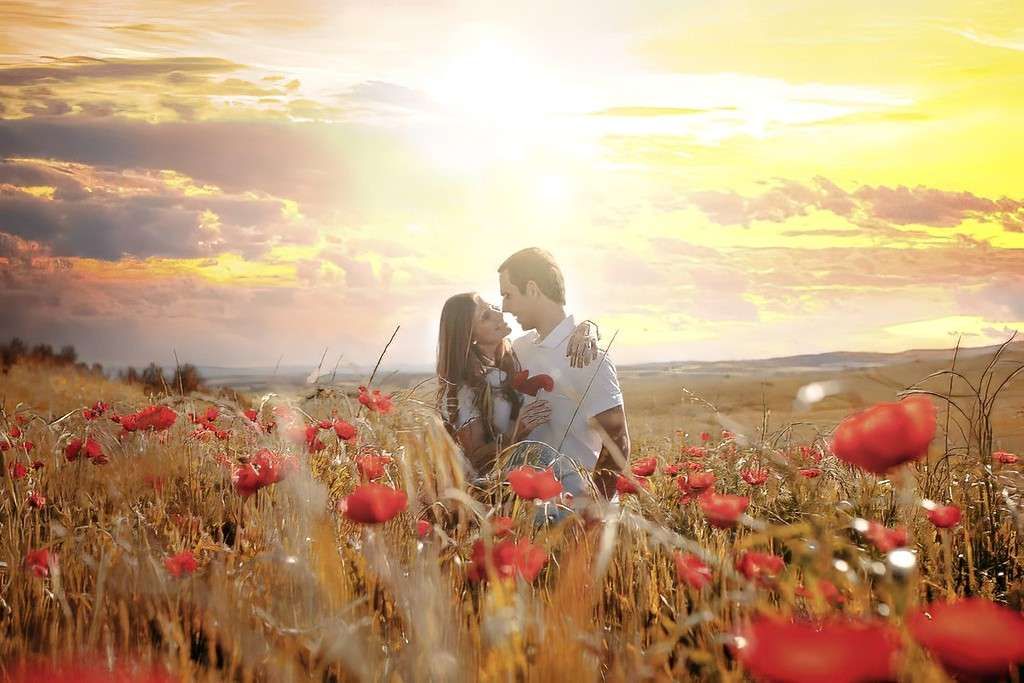 Pareja abrazándose en un campo de amapolas iluminado por el sol al atardecer.