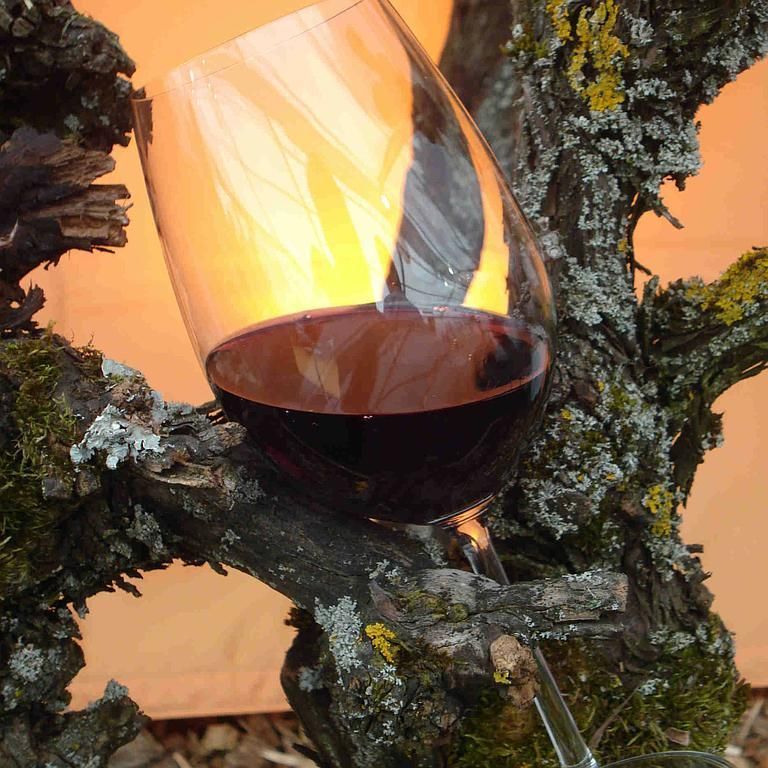 Weinbau Peter Zimmermann - Oberflachs