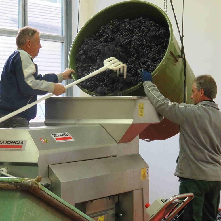 Weinbau Peter Zimmermann - Oberflachs