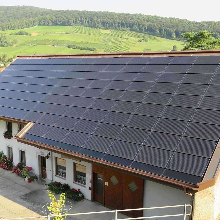 Weinbau Peter Zimmermann - Oberflachs