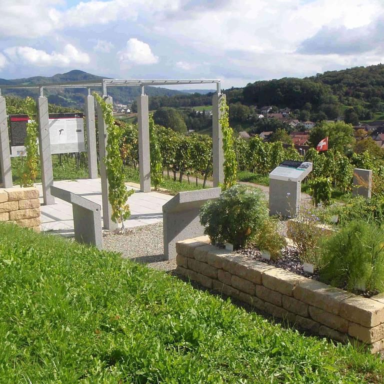 Weinbau Peter Zimmermann - Oberflachs