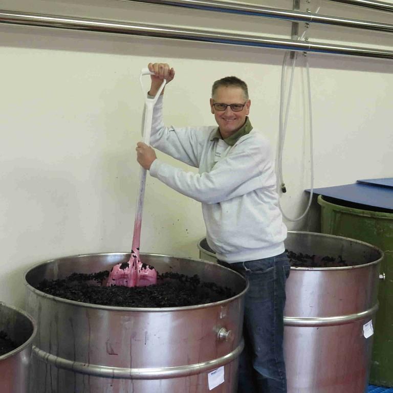 Weinbau Peter Zimmermann - Oberflachs