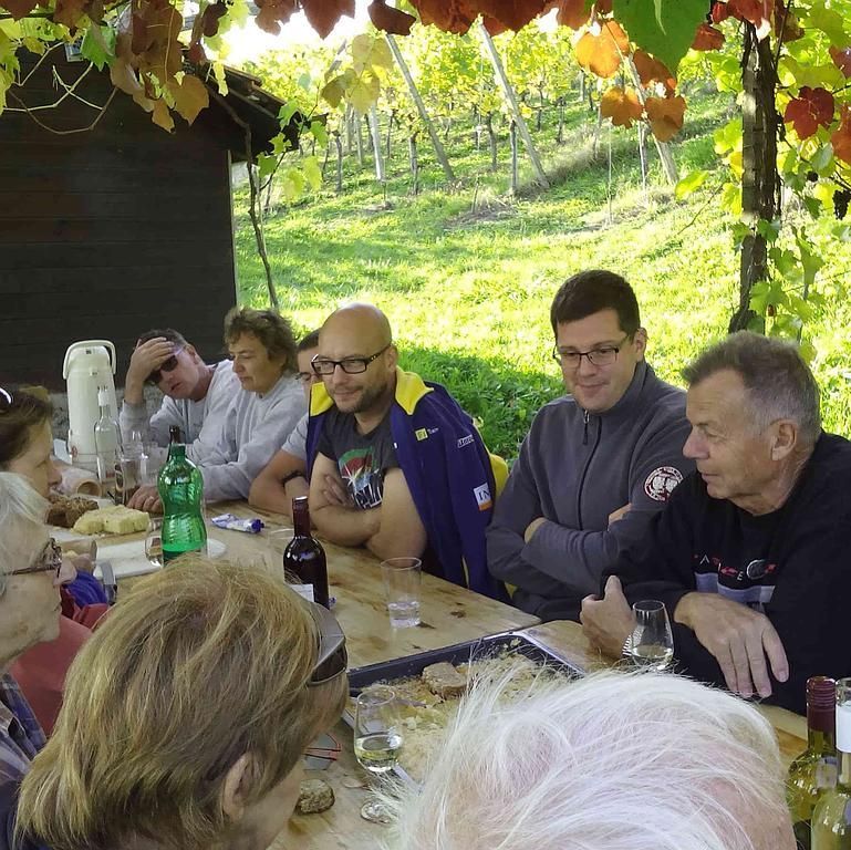 Weinbau Peter Zimmermann - Oberflachs