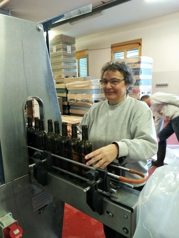 Weinbau Peter Zimmermann - Oberflachs