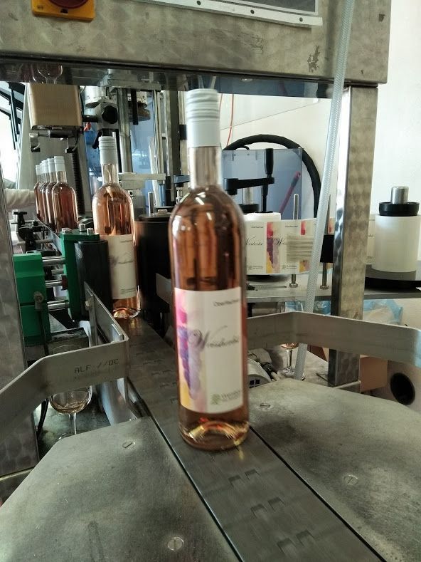 Weinbau Peter Zimmermann - Oberflachs