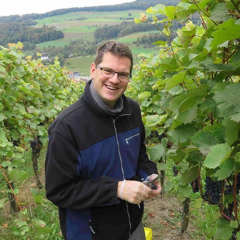 Weinbau Peter Zimmermann - Oberflachs