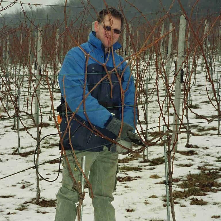 Weinbau Peter Zimmermann - Oberflachs