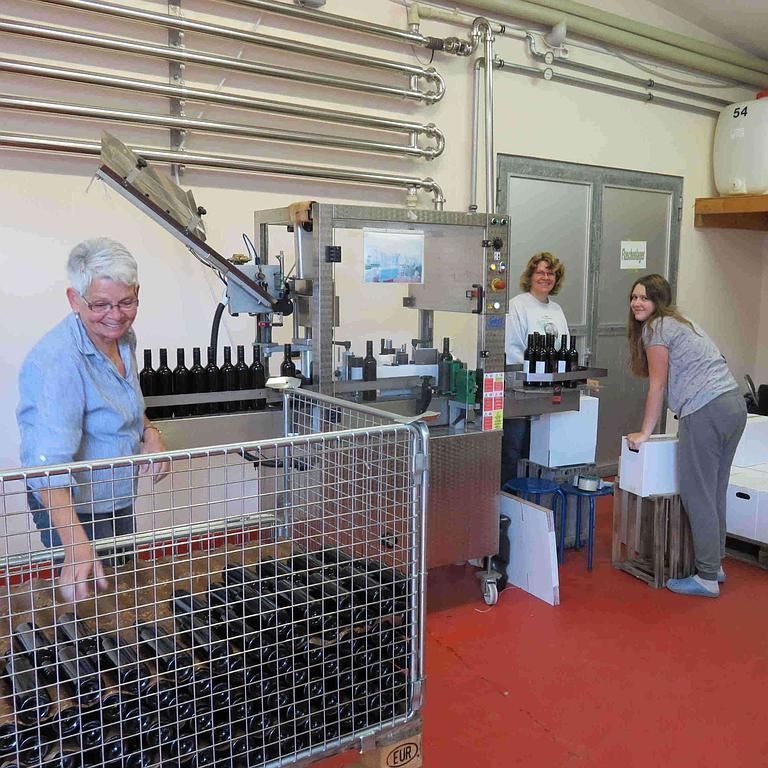 Weinbau Peter Zimmermann - Oberflachs