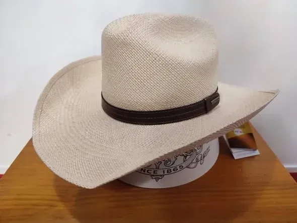 Sombrero de paja beige con una banda oscura apoyado sobre una superficie de madera.