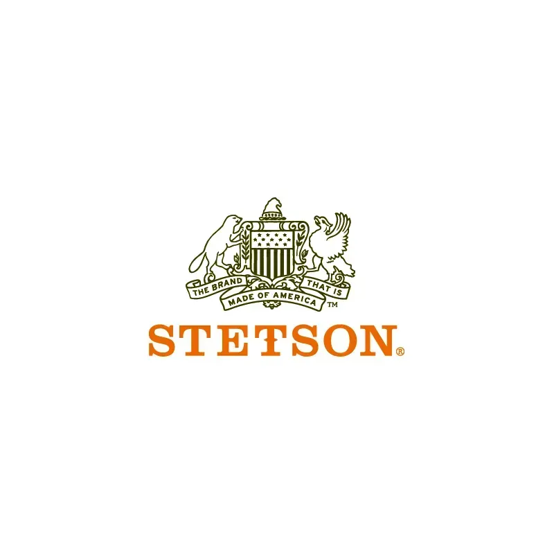 Logotipo de Stetson en color naranja con un pequeño escudo verde encima sobre un fondo blanco.