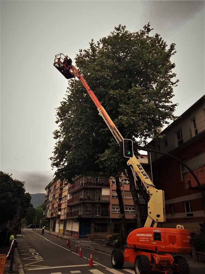 Un elevador Jlg está levantando un árbol en el aire.
