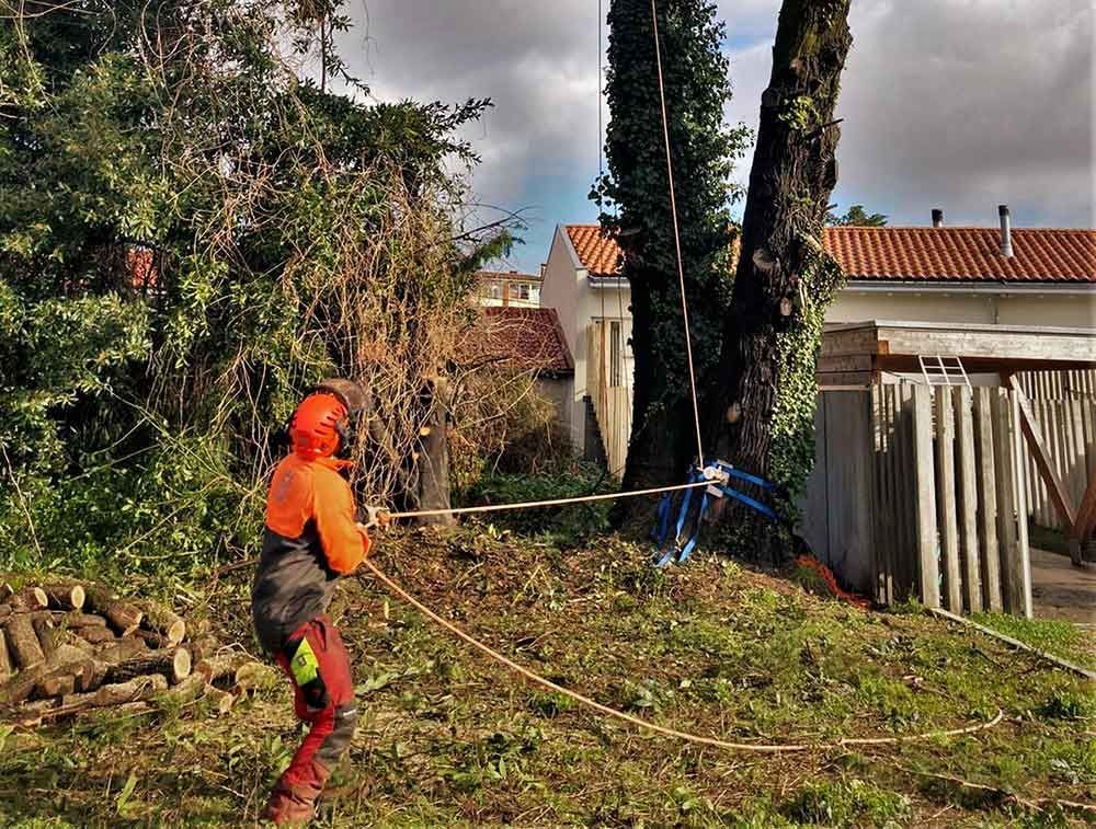 Un hombre está cortando un árbol con una motosierra en un patio.