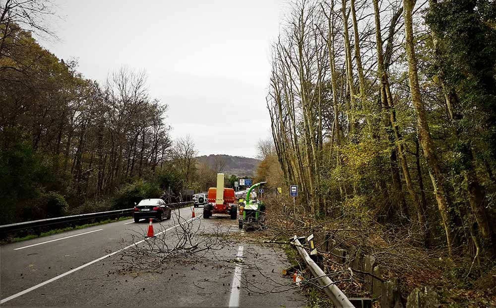 Un tractor está cortando árboles al costado de una carretera.