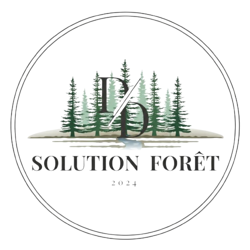 Vers accueil Logo D&D Solution Forêt