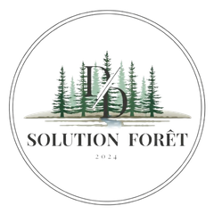 Vers accueil Logo D&D Solution Forêt
