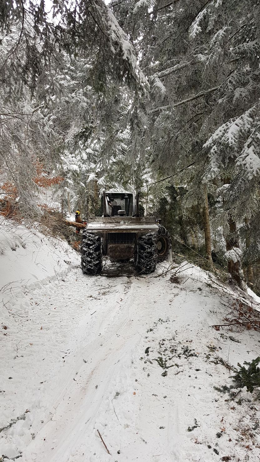 Chemin forestier enneigé avec un petit véhicule utilitaire qui circule entre les arbres.