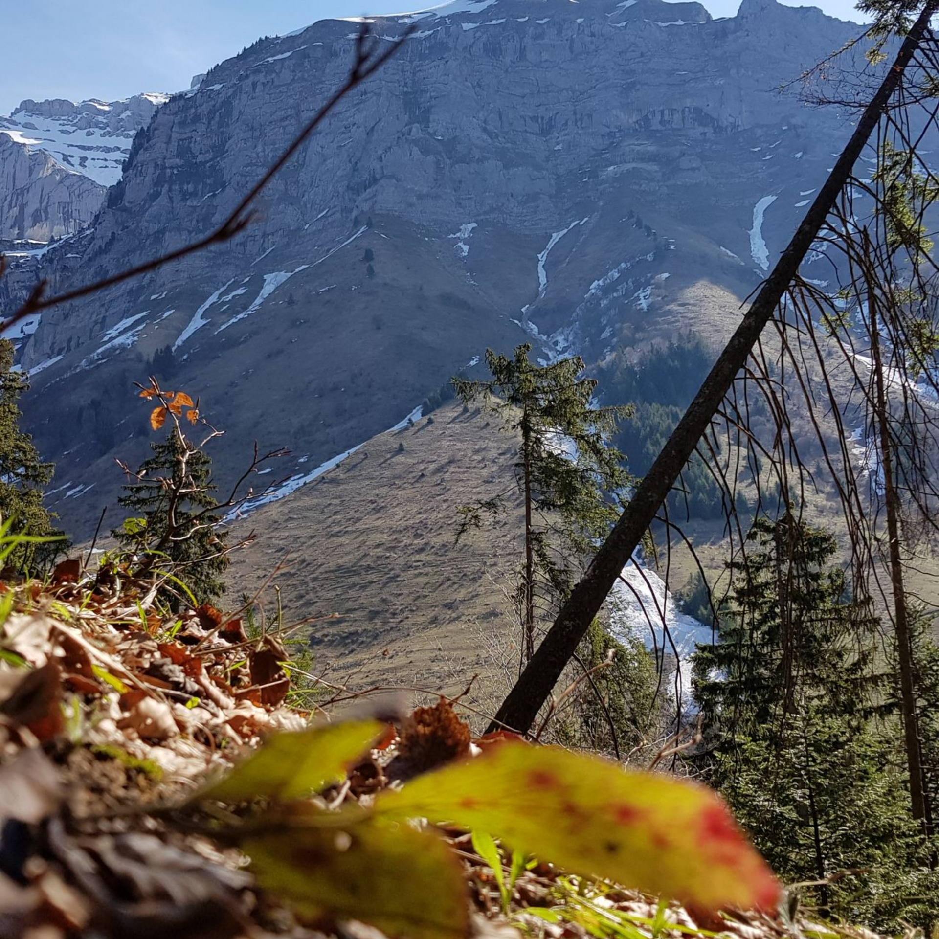 Paysage de montagne avec des falaises rocheuses, des conifères et des plaques de neige sous un ciel dégagé.