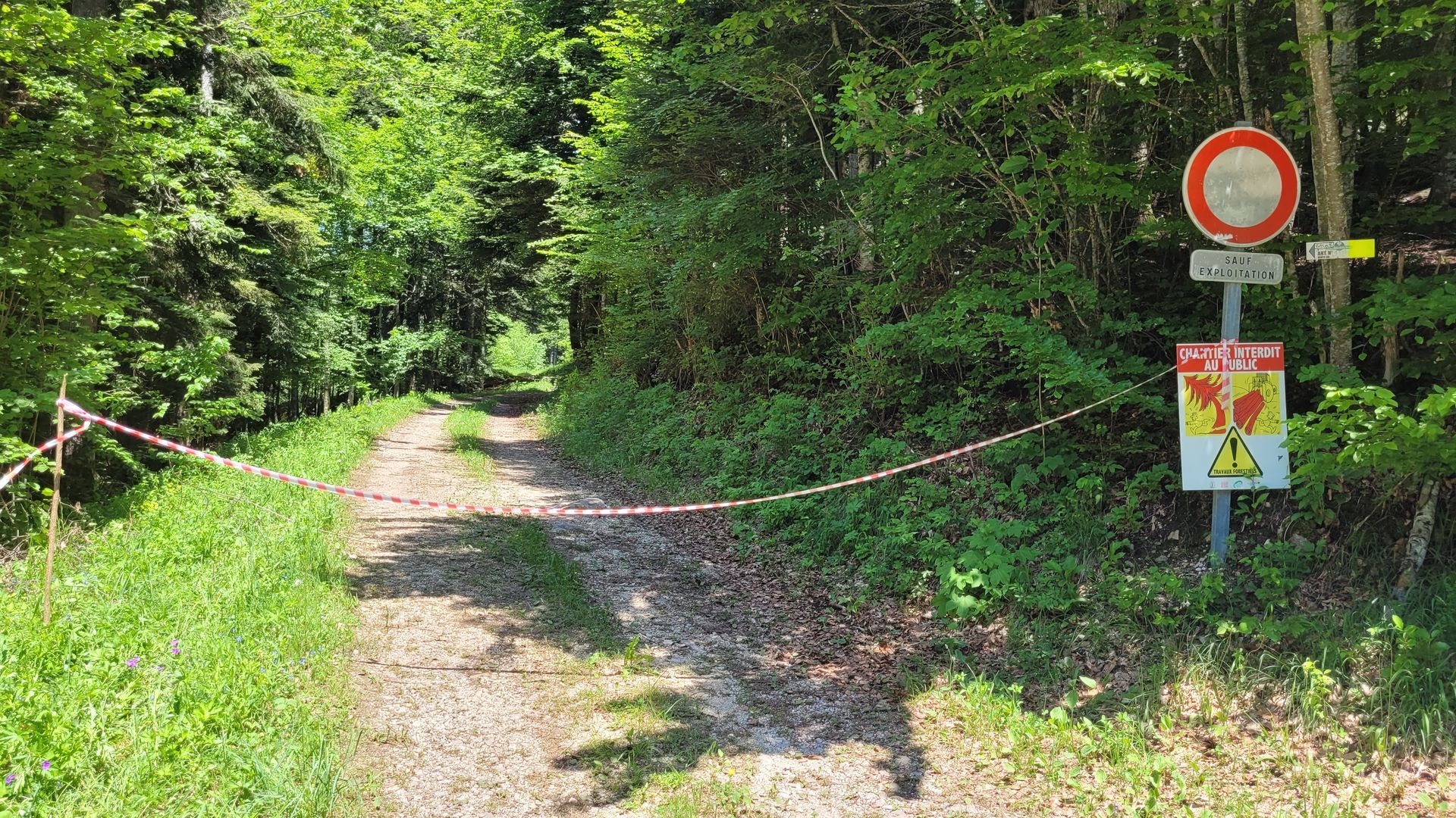 Sentier forestier bloqué par une rubalise rouge et blanc, avec des panneaux d'avertissement à l'entrée.