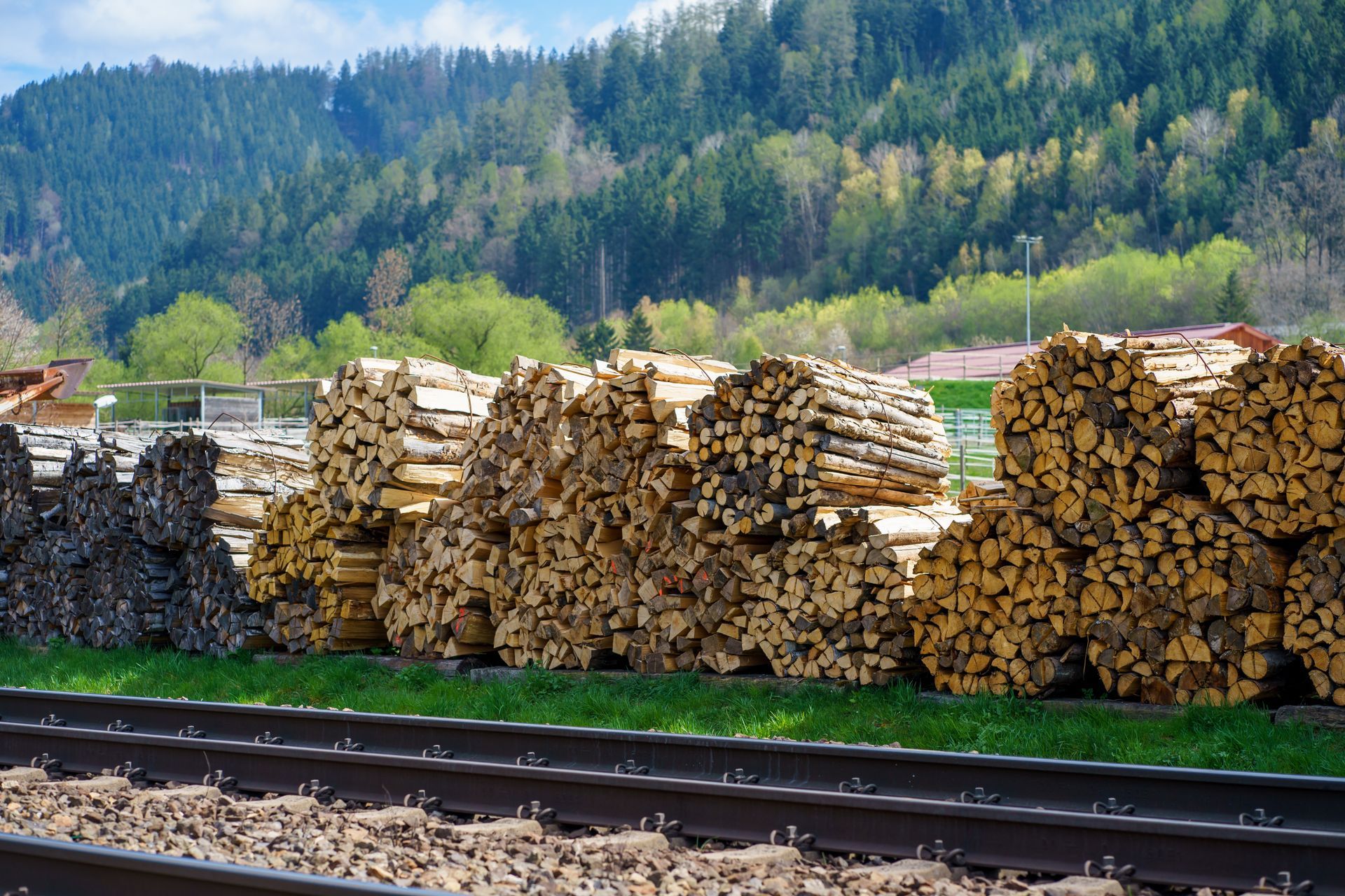 Des piles de grumes coupées bordent une voie ferrée, avec en arrière-plan des collines verdoyantes et boisées.