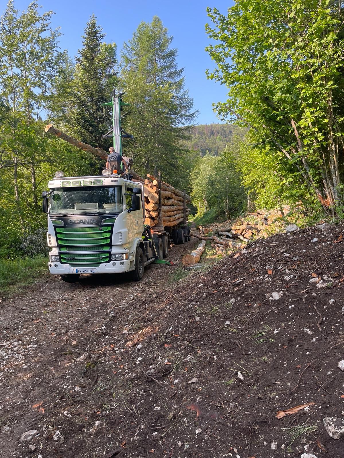 Camion grumier sur une route forestière escarpée transportant du bois coupé dans une forêt.