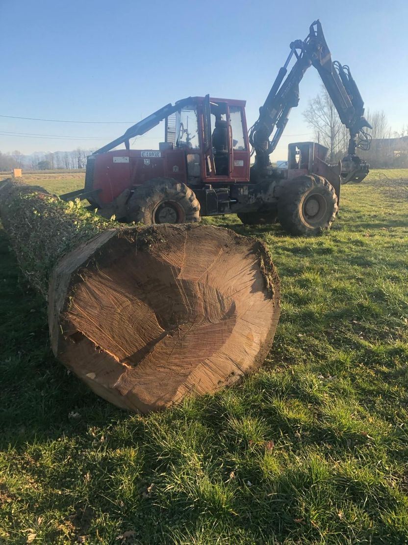 Machine forestière derrière un gros tronc d'arbre dans un champ herbeux au lever du soleil.