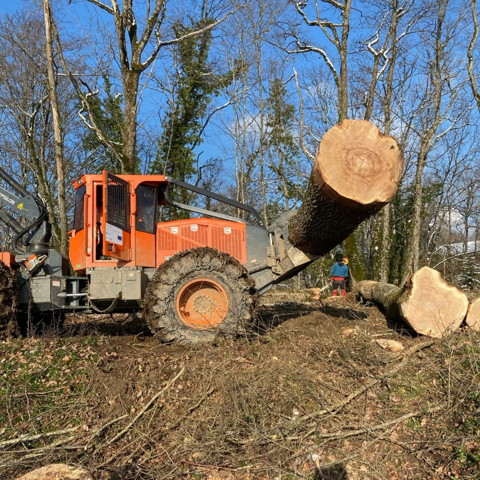 Tracteur forestier orange soulevant un gros tronc d'arbre coupé dans une clairière boisée par une journée ensoleillée.
