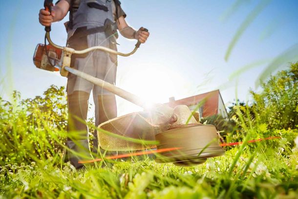 Personne utilisant un coupe-bordures pour tondre la pelouse dans un jardin ensoleillé