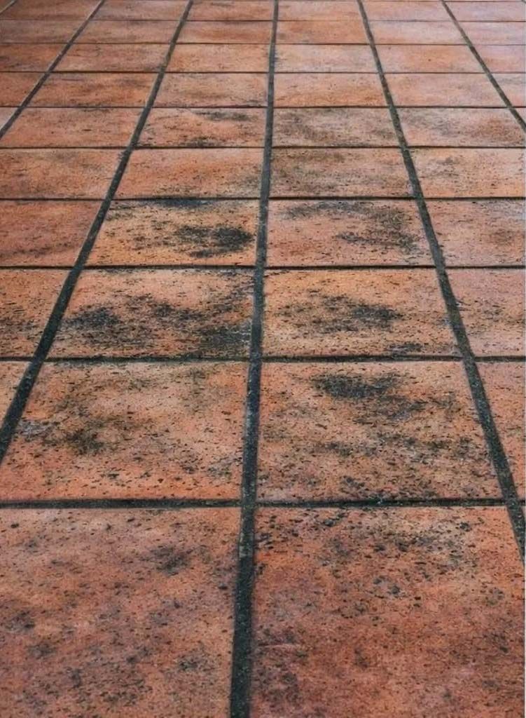 Suelo de baldosas de color marrón rojizo con lechada oscura. Las baldosas presentan signos de desgaste.