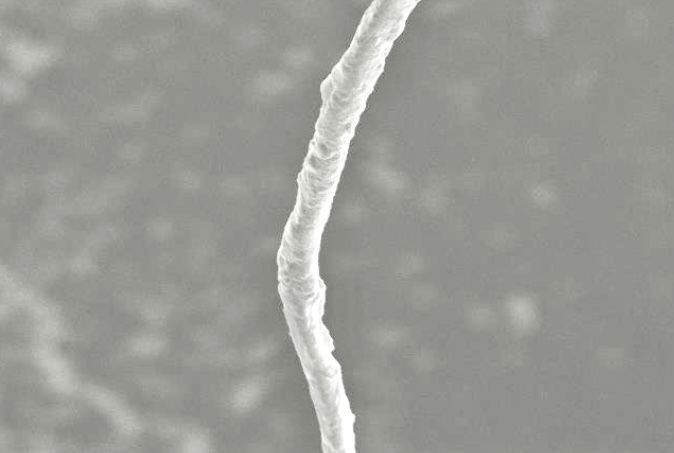 Un primer plano de un trozo de papel bajo un microscopio.