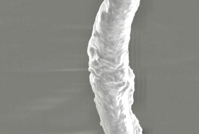 Un primer plano de una escultura blanca sobre un fondo gris.