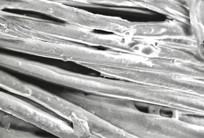 Un primer plano de un trozo de metal bajo un microscopio.