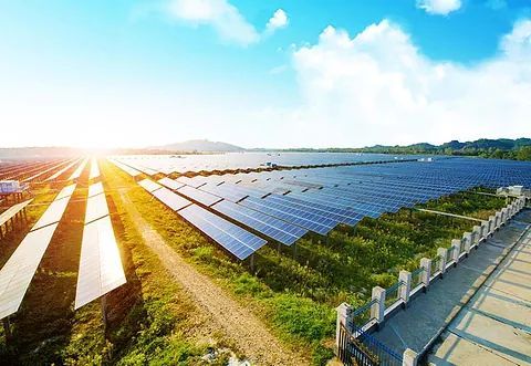 Paneles solares que se extienden a lo largo de un campo soleado junto a un sendero bajo un cielo azul brillante.