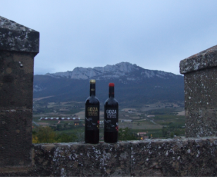Dos botellas de vino en un muro de piedra con montañas al fondo