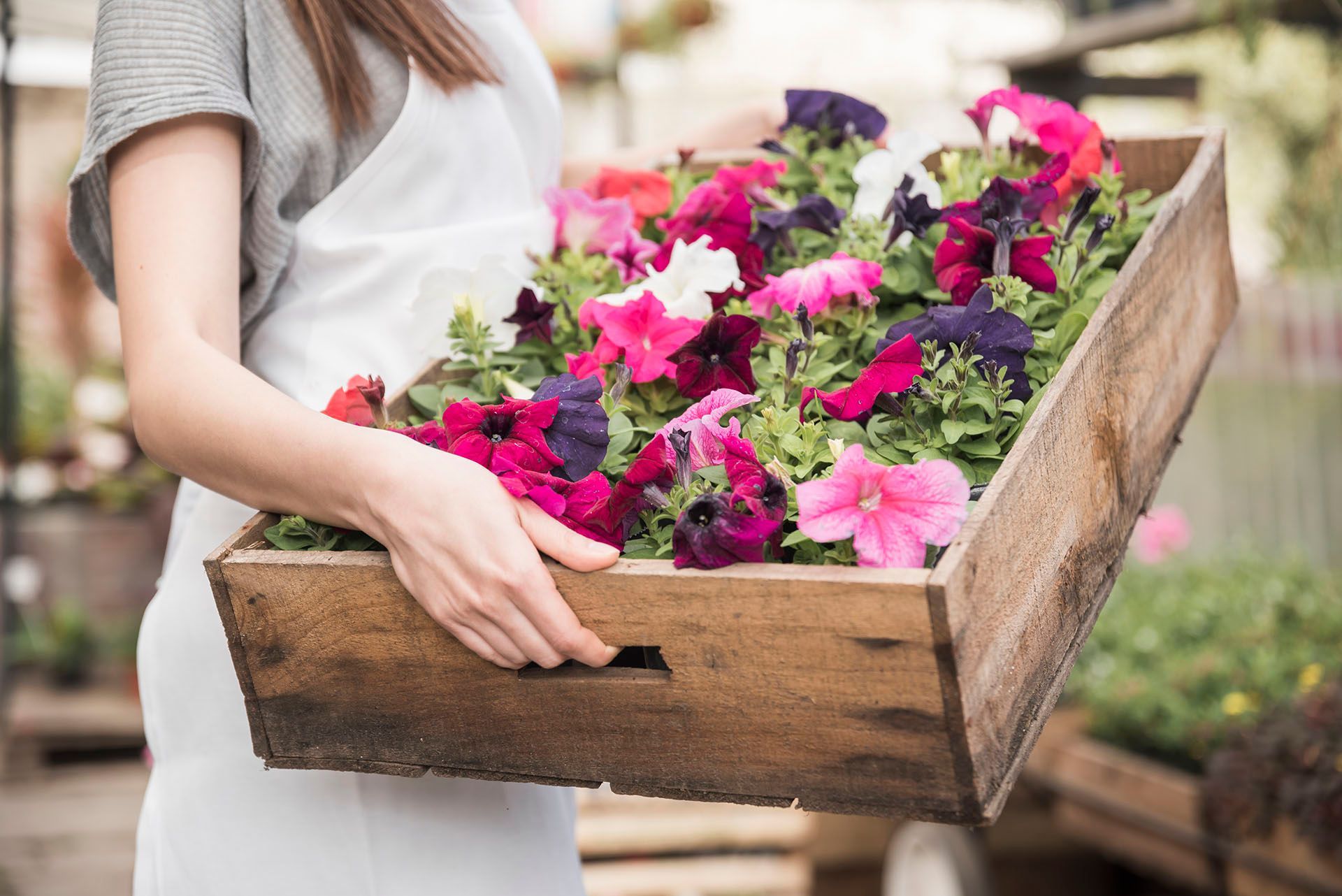 Una mujer sostiene una caja de madera llena de flores.